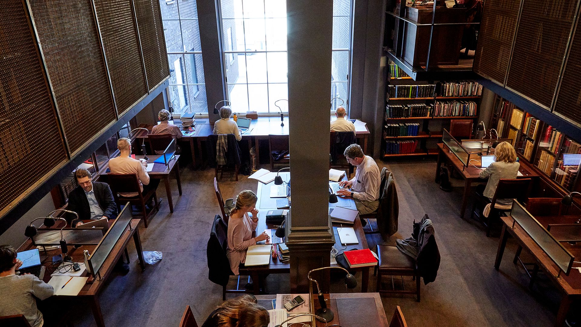 Members at work in the Stoppard Room, lamps and laptops along the timber desks.