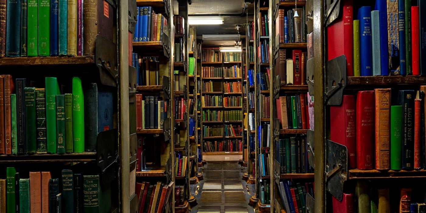 A narrow aisle in the book stacks, grated iron floor underfoot and colourful spines either side.