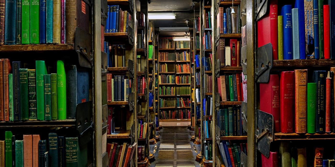 Book shelves